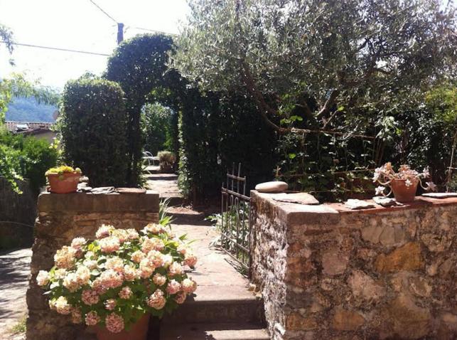 Zahrada ubytování La casa della mì nonna