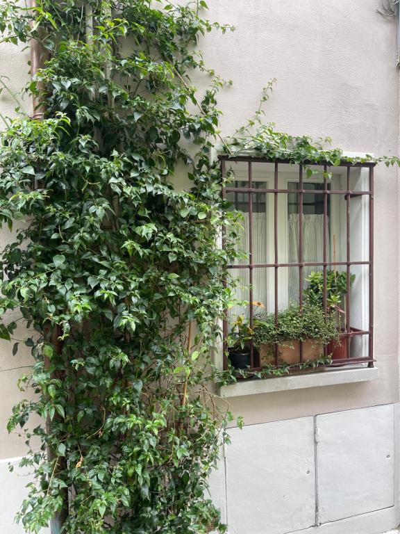 a window with plants on the side of a building at Casa Gastone in Rimini