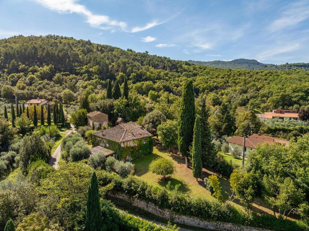 Příroda nedaleko vily