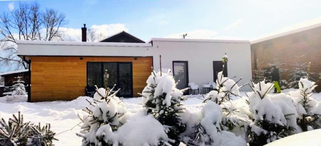 Вудхарт2 взимку