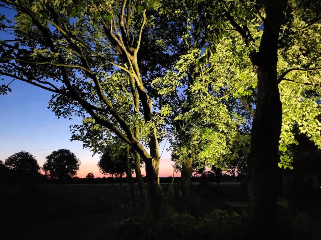 Gallery image of Calm & Cozy First Floor Apartment in Toftlund