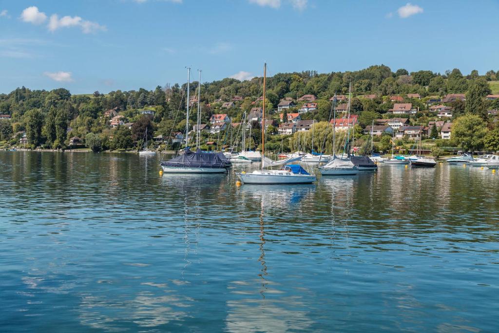 un grupo de barcos atracados en un cuerpo de agua en Seetraum Berger, en Hagnau