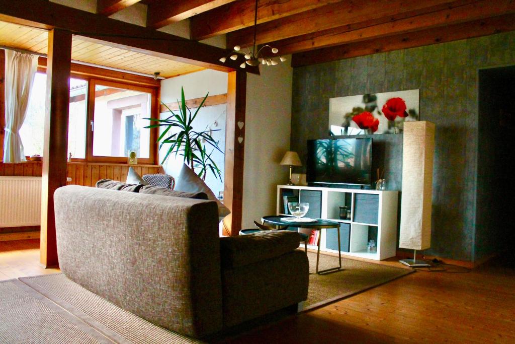 a living room with a couch and a television at Wohnen im schönen Bauernhaus in Beckingen