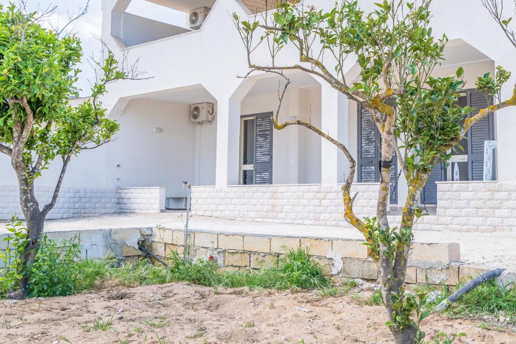 Κήπος έξω από το Il Pescatore