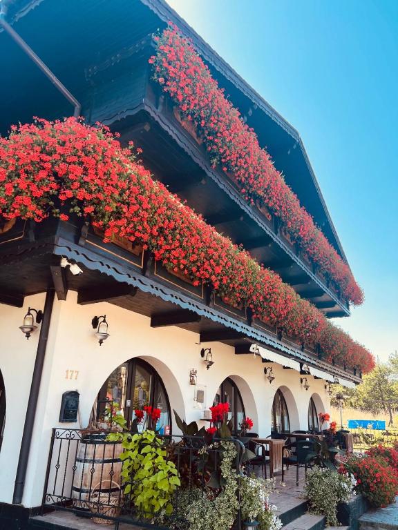 a building with red flowers on a balcony at Villa Siana in Bran