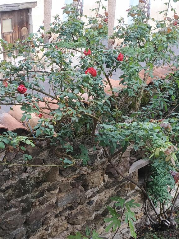 Aux Rosiers Rouges - Habitación Doble Estándar