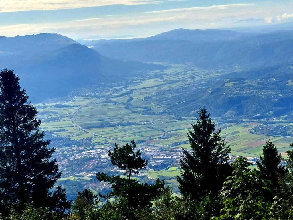 a view of a valley with trees on a mountain at Apartma Castrum Vini in Ajdovščina