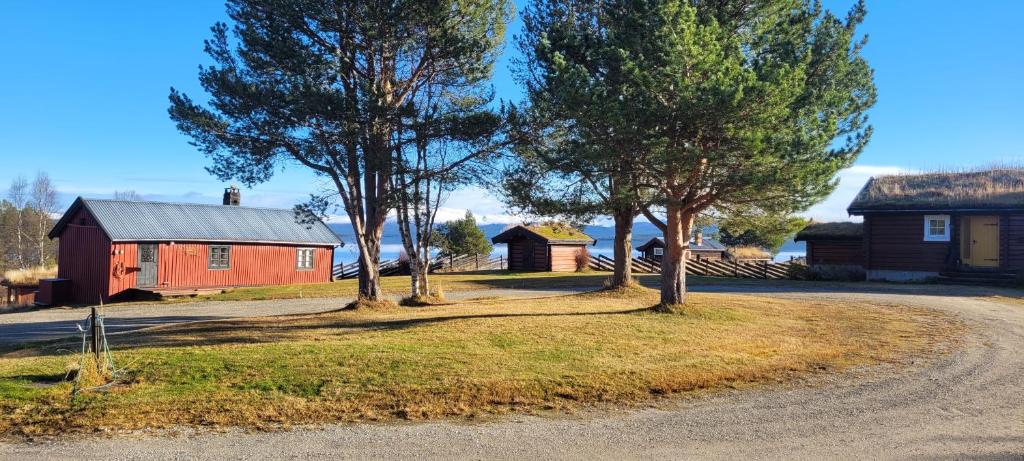 a group of trees next to a red barn at Buviken Nordre, Femund in Sømådalen