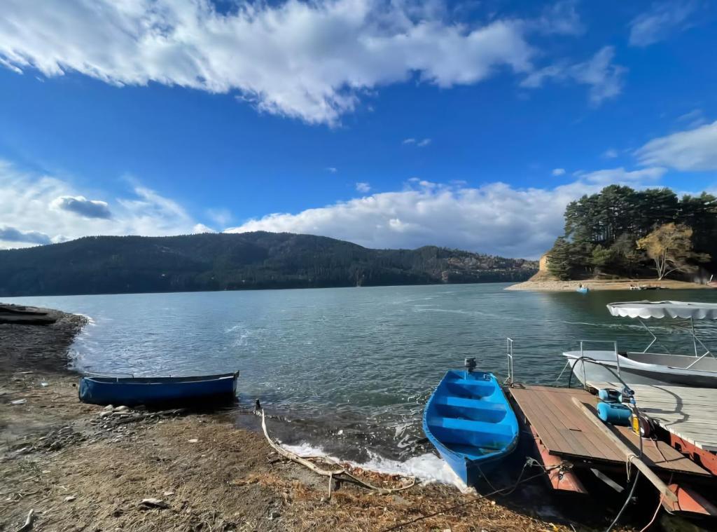two boats sitting on the shore of a lake at Casa David in Gura Hangului