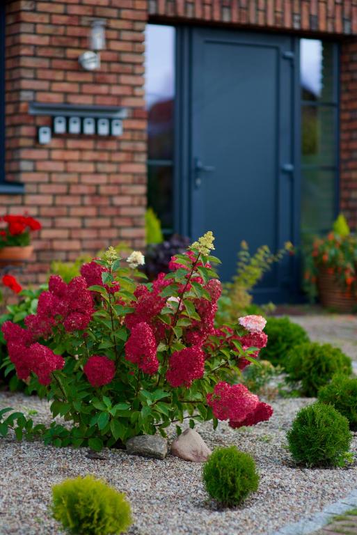 卡尔克尔Šv Hubertas的一座花园,在一座建筑前种有红色花卉