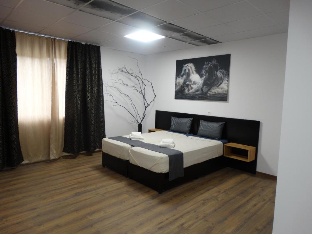 a bedroom with a large bed in a room at Hostel Tsanovi in Pleven