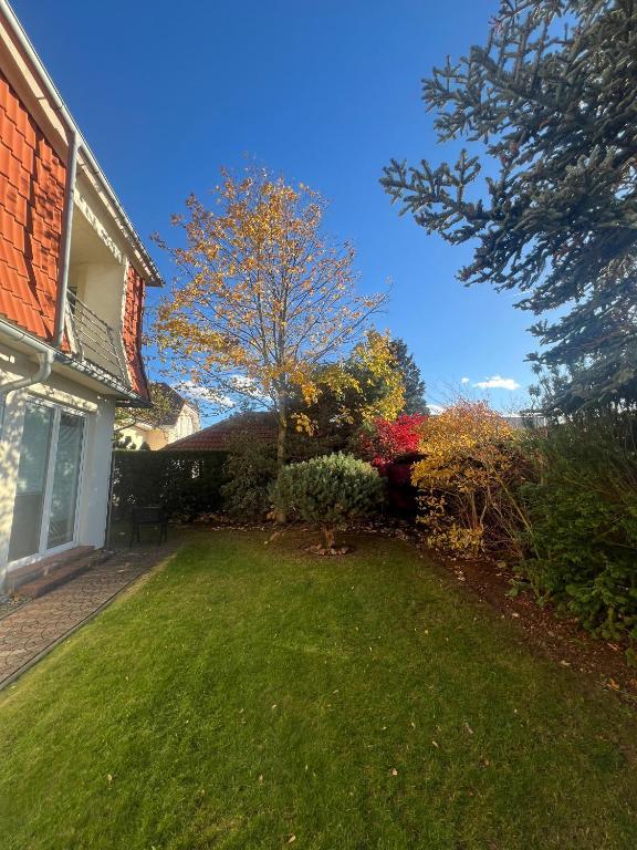 a yard next to a house with a tree at Sabina house in Vestec