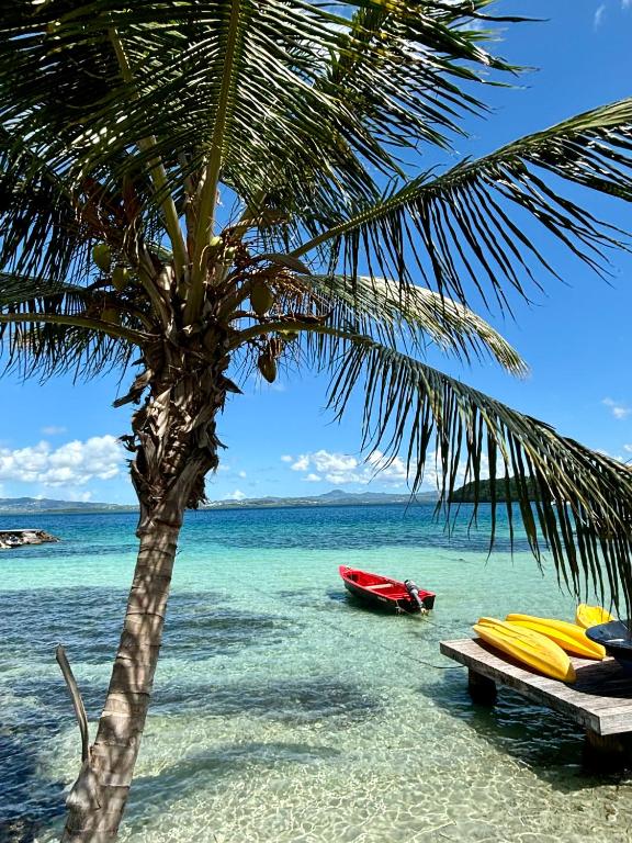 a palm tree and a boat on the beach at Studio Carayou Pointe du Bout Les Trois-Ilets in Les Trois-Îlets
