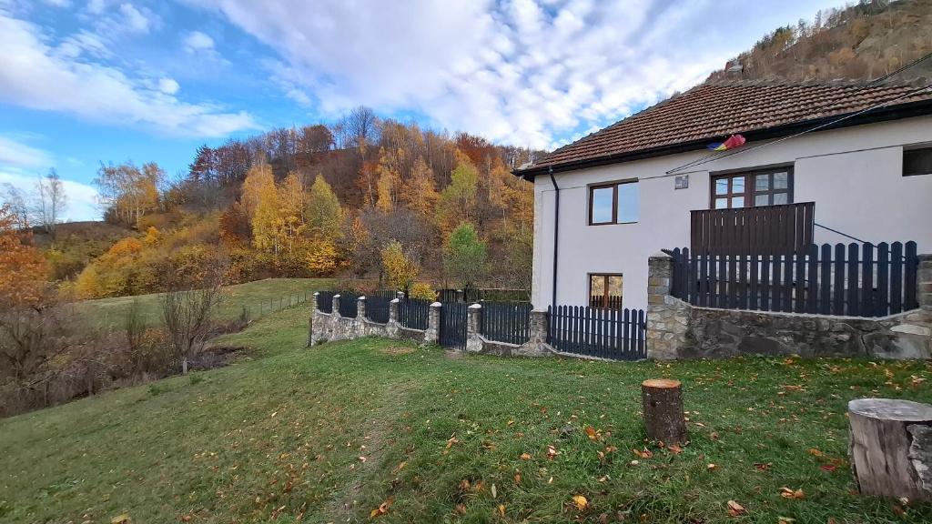 ein weißes Haus mit Zaun auf einem Feld in der Unterkunft Casuta de sub munte in Buzău