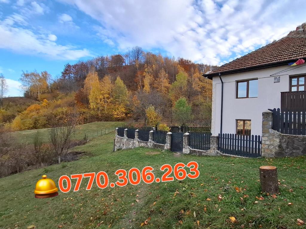 a yard with a house and a yellow object in the grass at Casuta de sub munte in Buzau