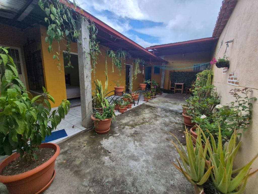 Κήπος έξω από το Casa El Recuerdo