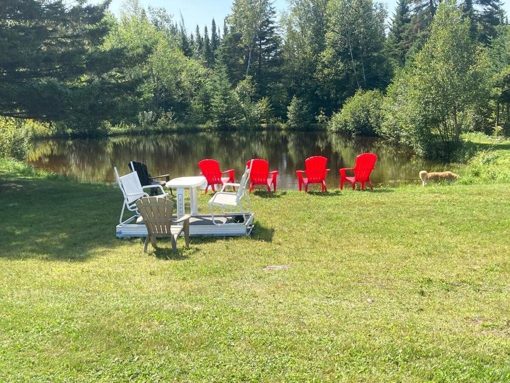 Příroda nedaleko chaty