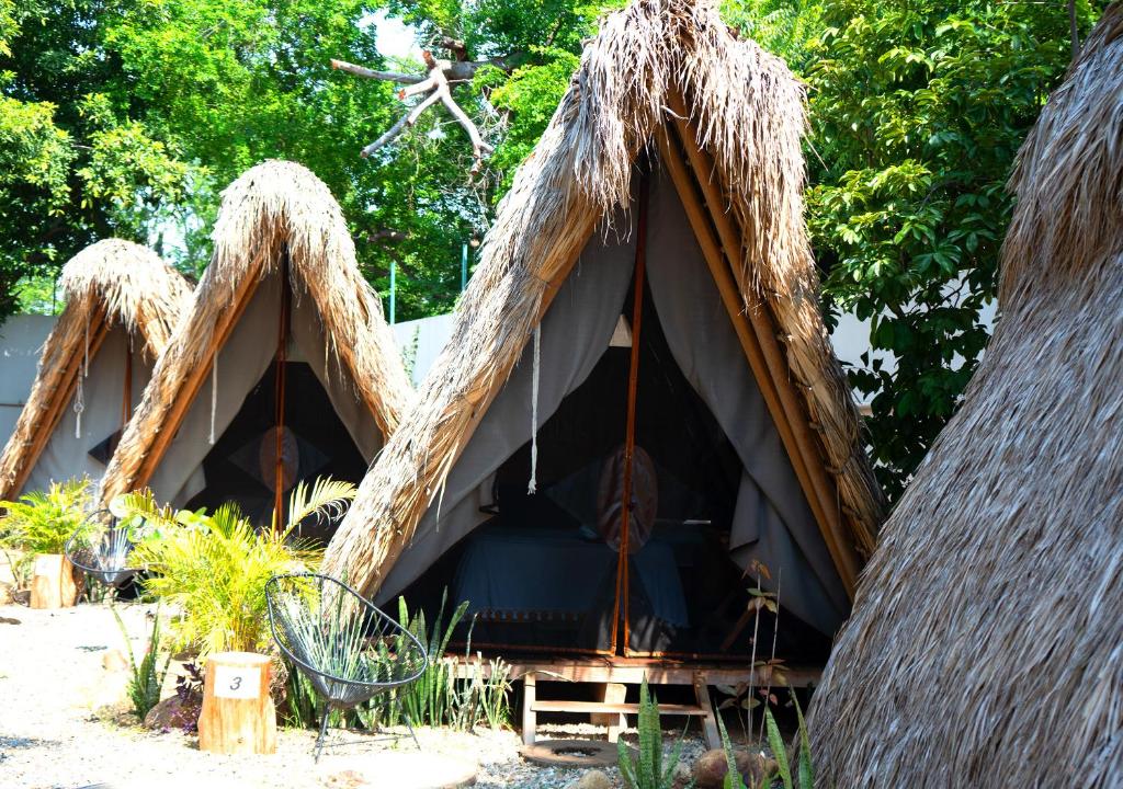 un gruppo di tende con alberi sullo sfondo di Tribu Tipis & Surf a Puerto Escondido