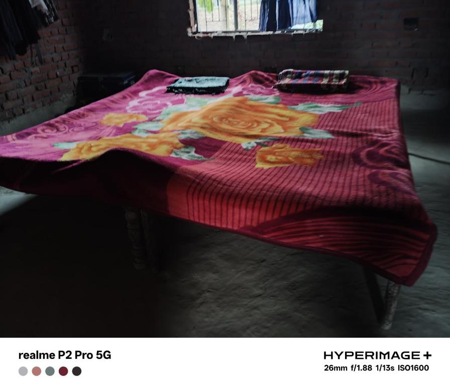 Fotografie z fotogalerie ubytování Rajendra Homestey 