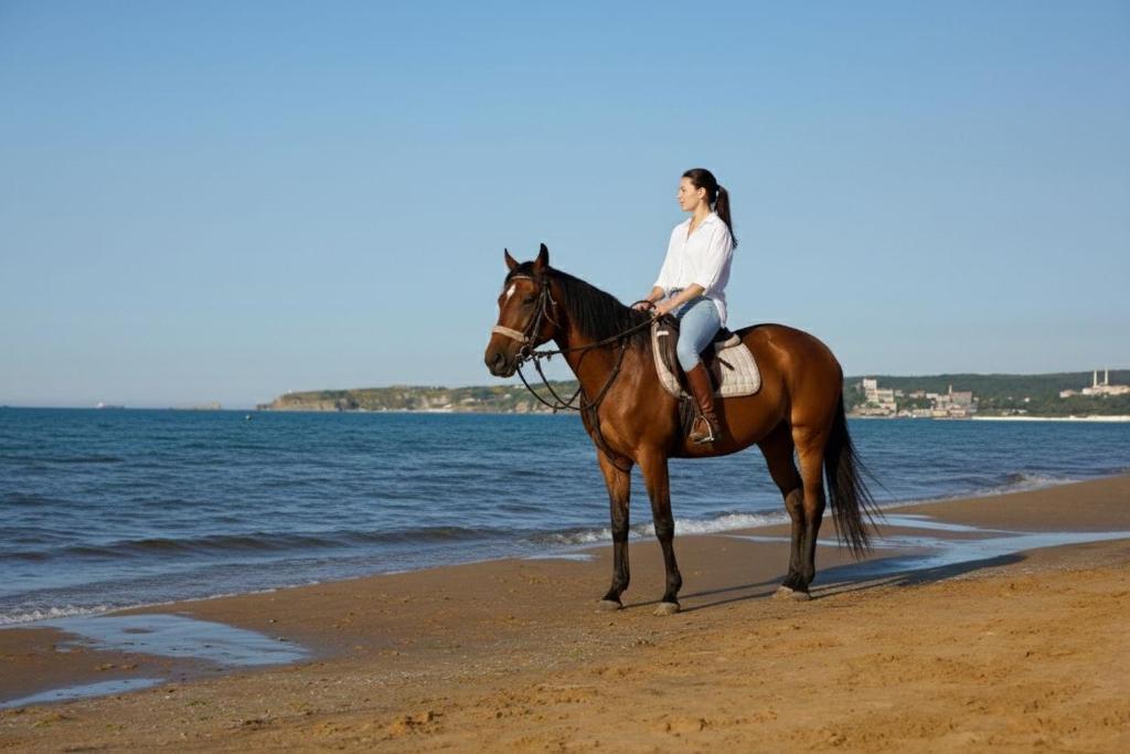 SarıyerにあるGoga Otelの浜辺の馬に乗る女