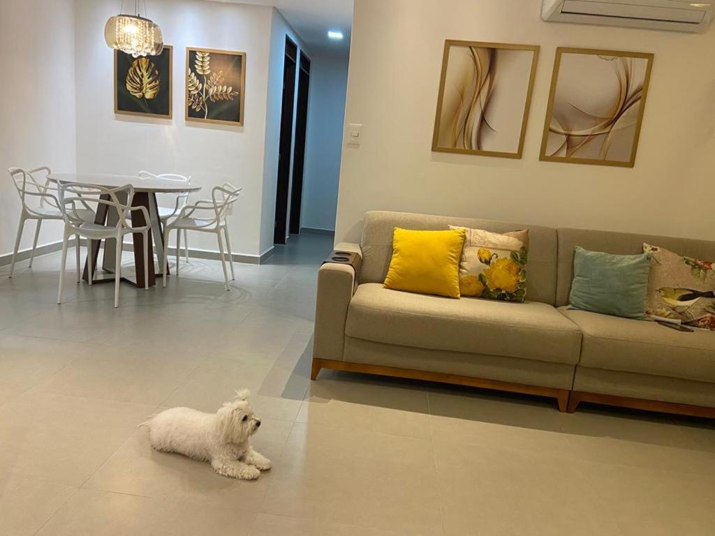 a white dog sitting on the floor in a living room at Thainá · Apartamento amplo proximo a praia do Bessa. in Nossa Senhora do Livramento