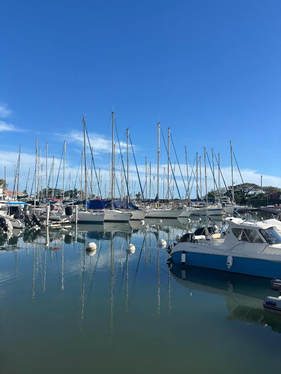 a group of boats docked in a marina at Le nid d'Emijulie - Maison familiale proche plage in Gourbeyre