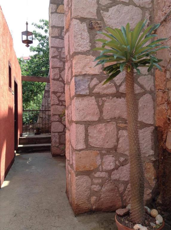 Fotografie z fotogalerie ubytování Manzano B&B v destinaci Guanajuato