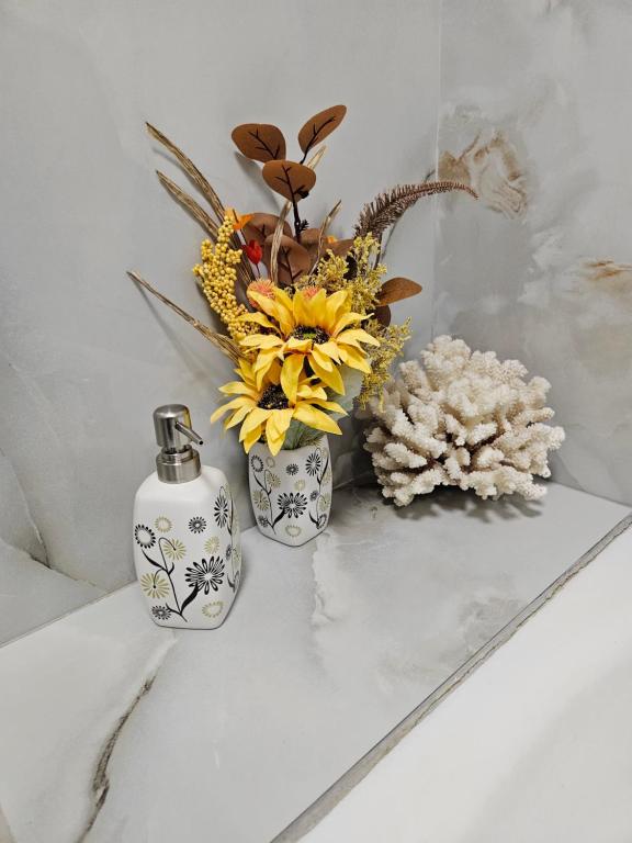 プロイェシュティにあるChique Apartamentの花瓶2本