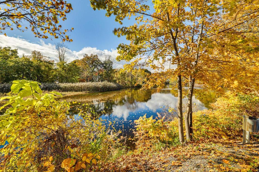 Příroda nedaleko apartmánu