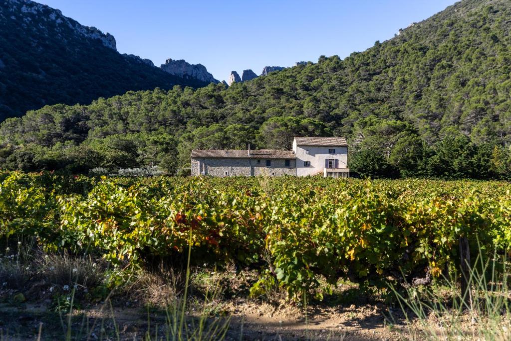 a house in the middle of a field of crops at Domaine de Cassan in Lafare