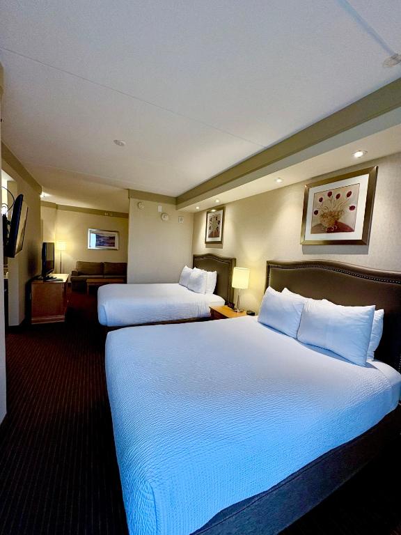 Waterloo Suites Hotel, Trademark Collection by Wyndham - デラックスクイーンルーム（クイーンベッド2台・禁煙）