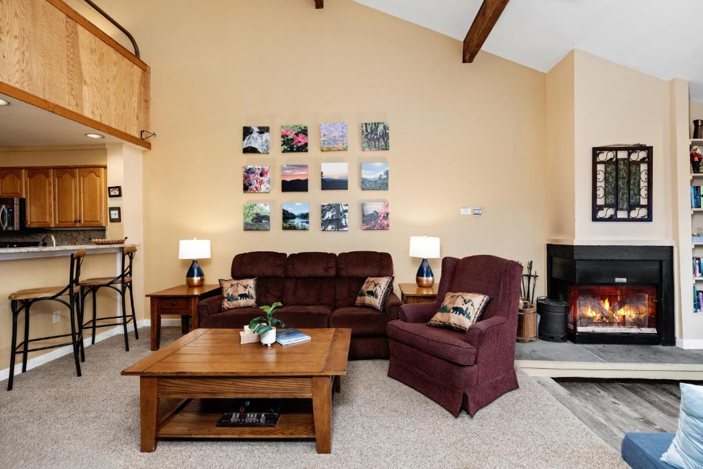 a living room with a couch and a fireplace at Dobie 21 With Wintergreen Advantage in Mount Torry Furnace