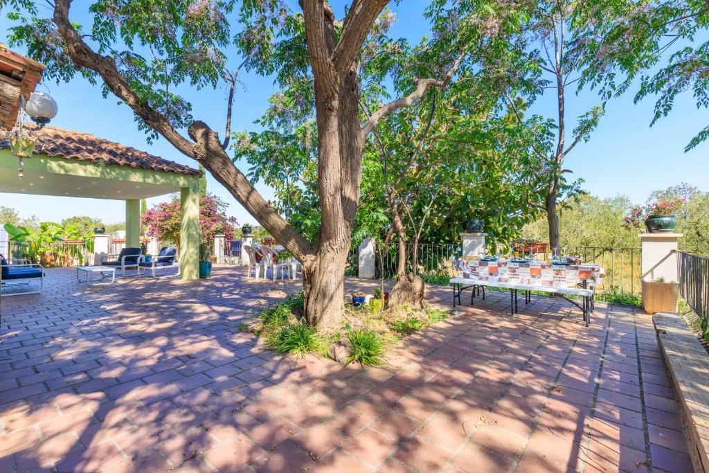 モントブリオ・デル・カンプにあるCasa Rural Mas ROTAVELLAの中庭木