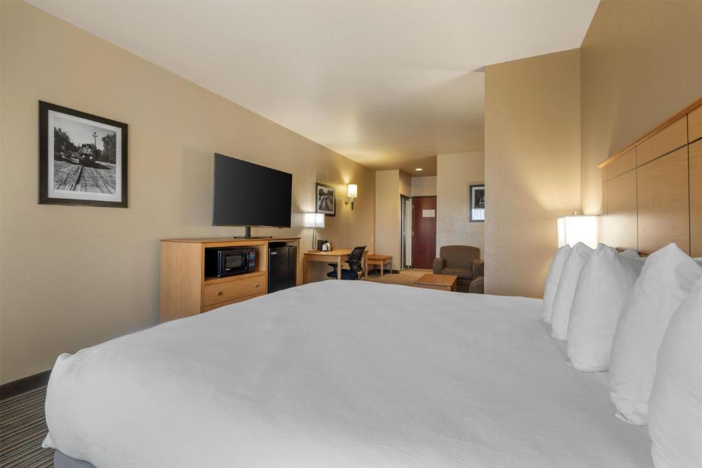Best Western Shelby Inn & Suites - Suite King Con Sofá Cama