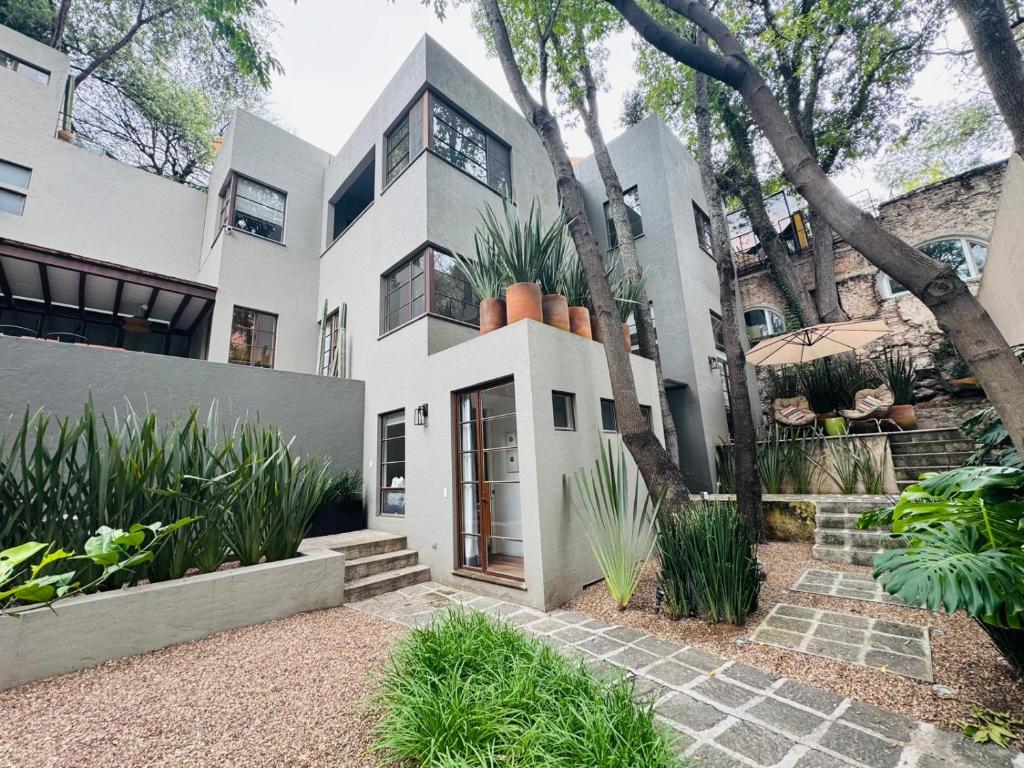 サンミゲル・デ・アジェンデにあるCasa Arroyoの横に植物がある家