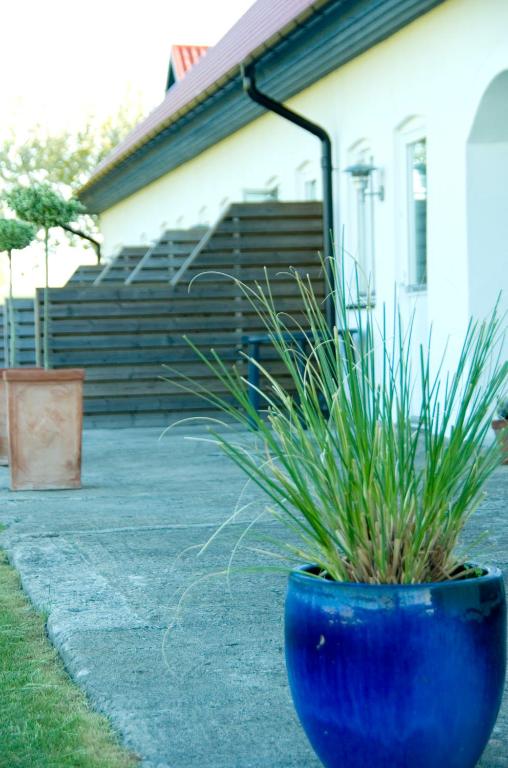 Zahrada ubytování Skönadal B&B