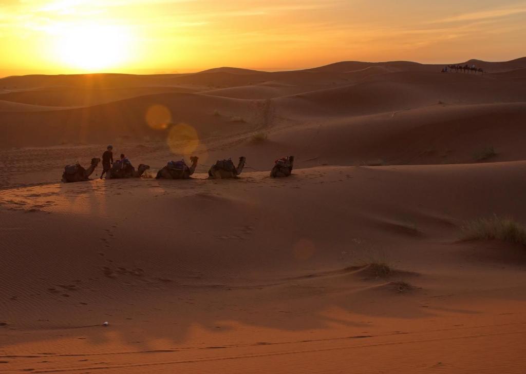 a group of people riding camels in the desert at sunset at zonadima in Merzouga