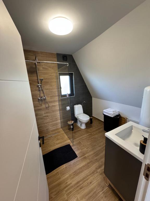 a bathroom with a shower and a toilet and a sink at Cabana JagerBerg Rosenau in Râşnov