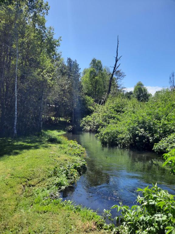 Domos Conguillío - Glamping Domo