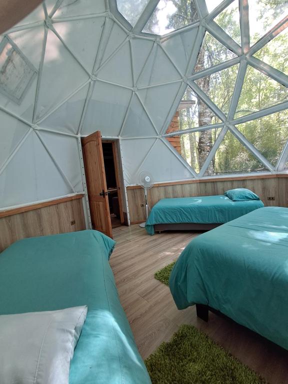 Domos Conguillío - Glamping Domo