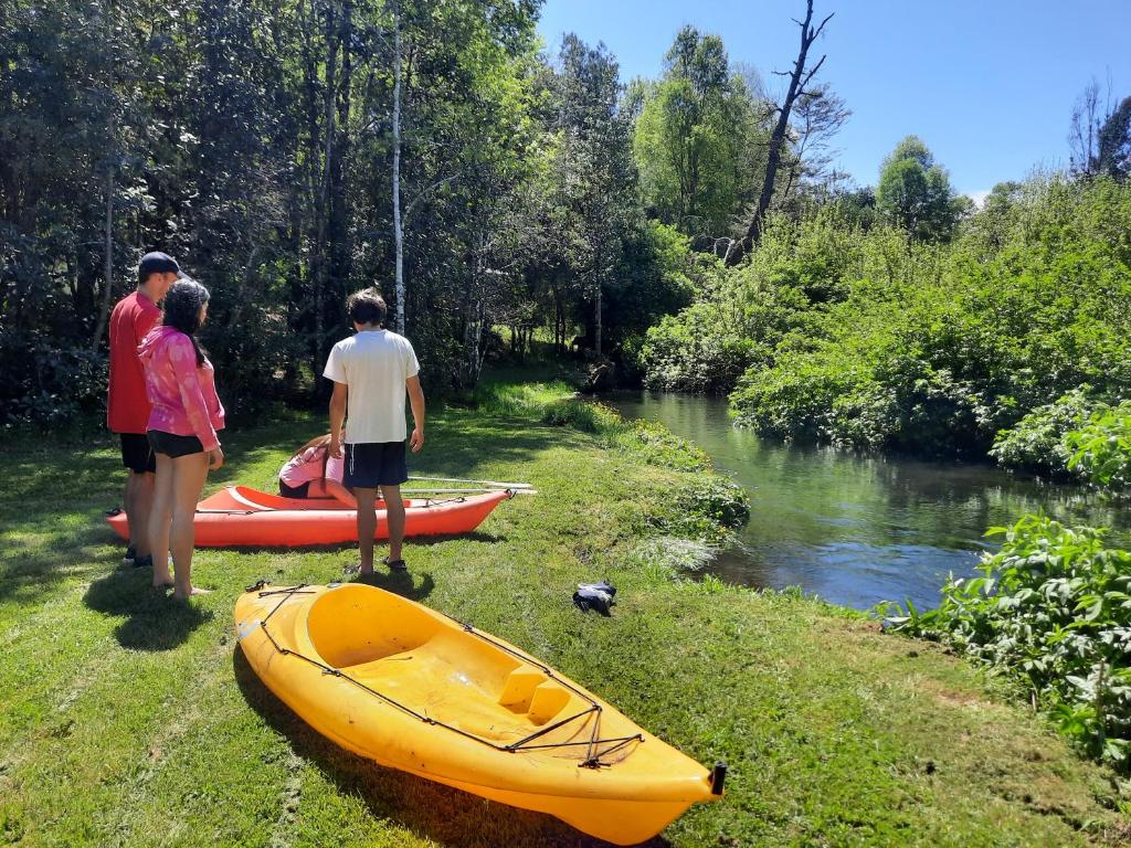 Domos Conguillío - Glamping Domo