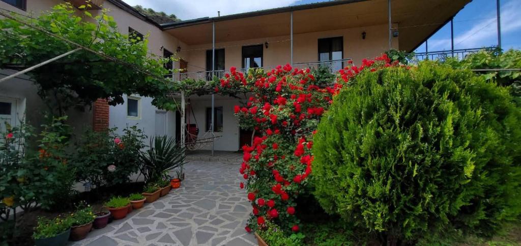 a courtyard of a building with red flowers and plants at Guesthouse Mtkvari in Nak'alak'evi