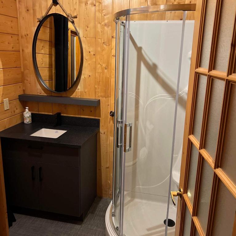 ein Badezimmer mit Dusche, Waschbecken und Spiegel in der Unterkunft Les lofts nord-valins in Saint-David-de-Falardeau