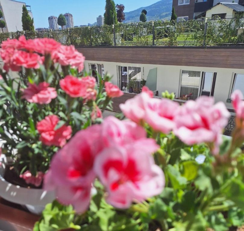 Κήπος έξω από το S&SApartment