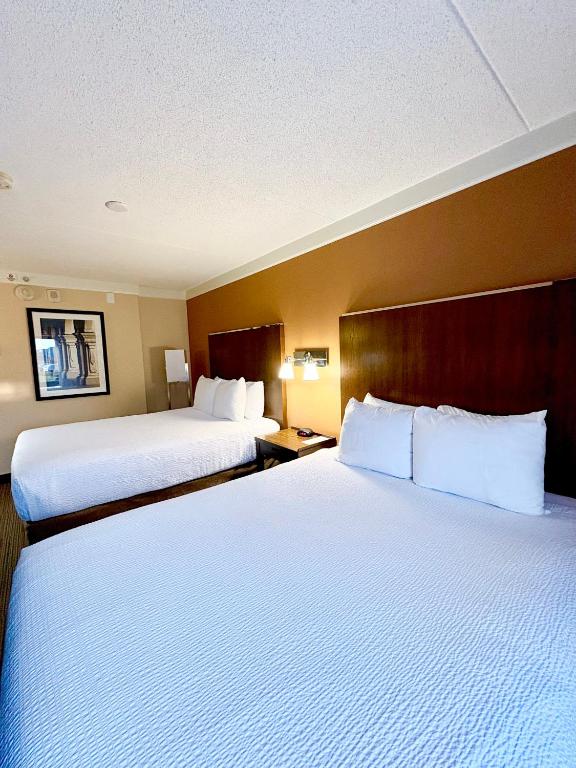 Waterloo Suites Hotel, Trademark Collection by Wyndham - スーペリアクイーンルーム（クイーンベッド2台・禁煙）