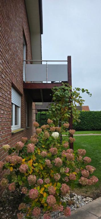 a bush of flowers in front of a building at Wohnung für Monteure und beruflich Reisende in Petershagen