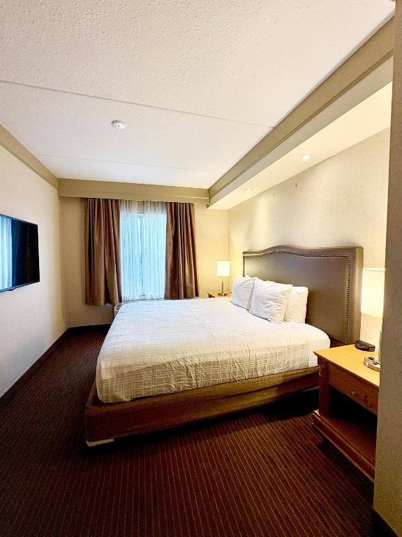 Waterloo Suites Hotel, Trademark Collection by Wyndham - キングサイズベッド1台、1ベッドルーム、バリアフリー対応スイート、ローリングシャワー、禁煙
