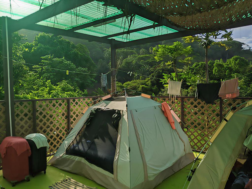 Camping Nany, Taputapuapea - photo 7 - Raiatea, Polynésie