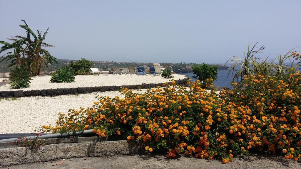 Un mazzo di fiori seduti sulla spiaggia di Casavacanze Residence Maia Volcani ad Acireale
