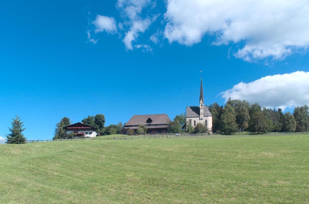 Příroda nedaleko hotelu